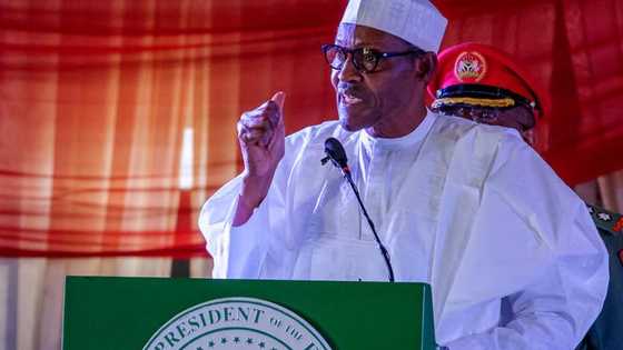 How Boko Haram surprised me - President Buhari