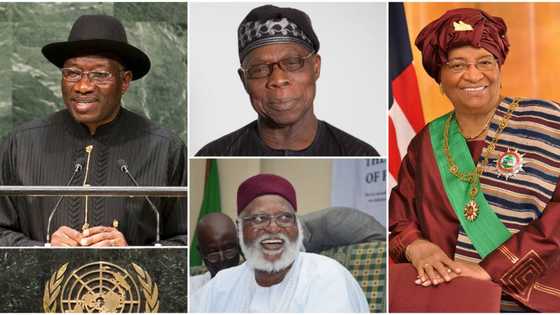 Jonathan, Obasanjo join forces with 6 other former presidents to establish forum, reason revealed