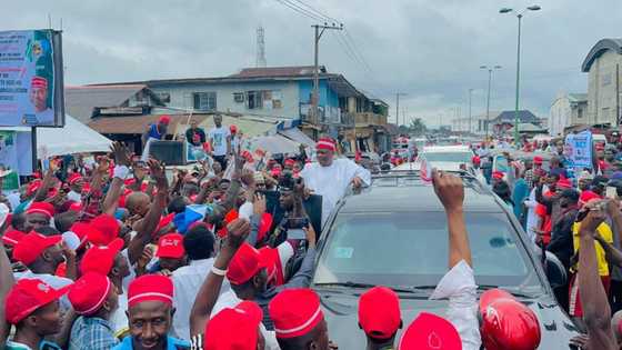 Kwankwaso: Manyan Arewa na Shirin Goyon Bayan Wani ‘Dan Takara ‘Mara Shahara’