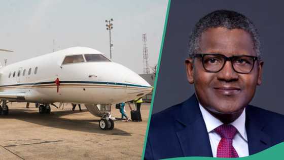 Full list: Dangote, Adenuga, 38 other Nigerians who own private jets