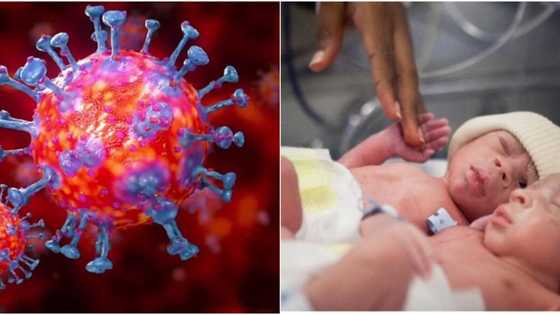 Couple names newborn twins Corona and Covid after arriving amid coronavirus pandemic