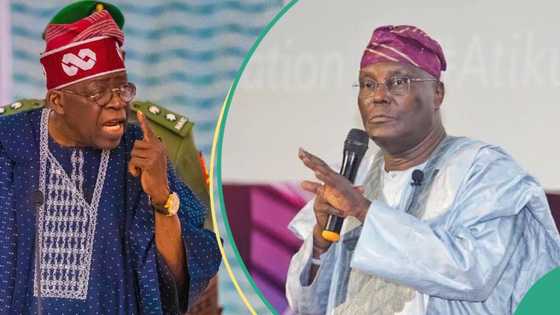 Shugaba Tinubu Ya Bukaci Kotun Koli Ta Yi Fatali Da Karar Da Atiku Ya Daukaka, Ya Bayyana Dalilansa