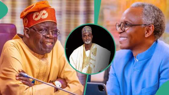 "Da yawa ba su da muƙamai": Jigon APC ya magantu kan zargin rikicin Tinubu da El-Rufai