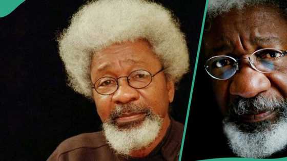 Soyinka gives condition to accept American visa: "I am also a president"