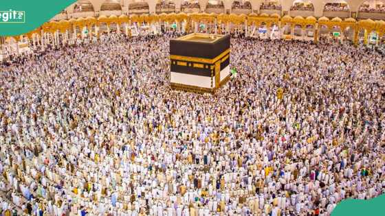 Hajj 2024: Over 900 deaths recorded, as families search for loved ones