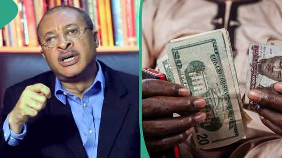 How CBN contributed to tumbling naira value, Peter Obi's ally Utomi speaks