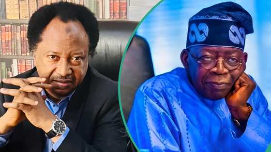 2027: PDP chieftain reacts as Shehu Sani, 4 National Assembly members defect to APC, “Displaced politicians”