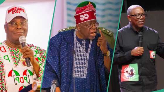 “United by mutual desperation”: APC reacts to Atiku, Obi’s purported alliance to unseat Tinubu