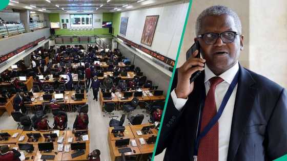Dangote refinery sets minimum $350,000 entry for private investors