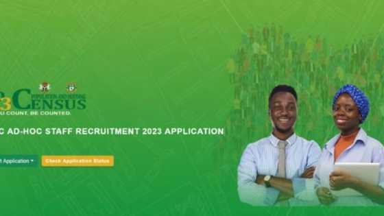 NPC Job: Step by step guide to apply for national population commission ad-hoc staff for 2023 census