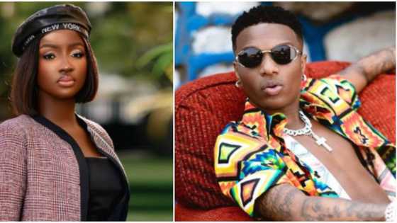 You dreams are valid: Fans encourage Saskay as she reveals that she became friends with Wizkid in her dream