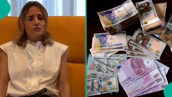 Yahoo boys who duped woman of N1.3bn while posing as Brad Pitt identified as Nigerians