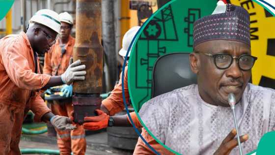 Decline in crude oil production causes Nigeria to lose N636bn in five months