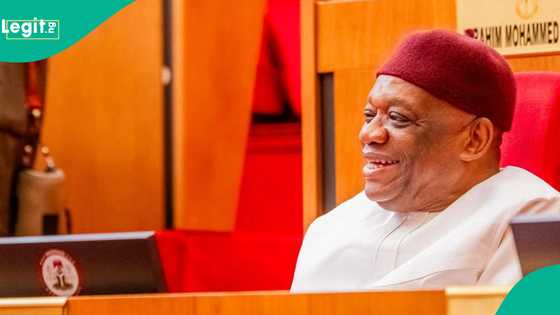 Sanatan APC ya kafa misali da Trump, ya ce da yiwuwar ya zama shugaban Najeriya a 2039