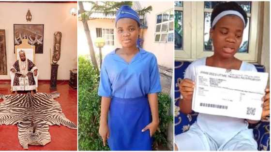 "Our team will work with her": Businessman offers Mmesoma huge scholarship amid forged UTME result saga