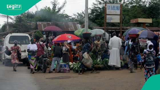 Expert explains why NBS is including hidden and illegal activities in rebased GDP