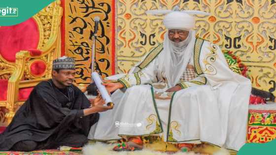 Neman tabarraki: Shugaban hukumar fina-finai ta Najeriya, Ali Nuhu ya ziyarci Sarkin Kano
