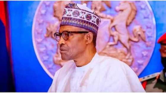 2023: Babban Sanatan APC Ya Bayyana Abubuwa 2 Da Za Su Hana Tsige Buhari