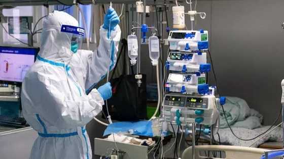 Coronavirus cases in Nigeria now 81 as disease spreads to Enugu