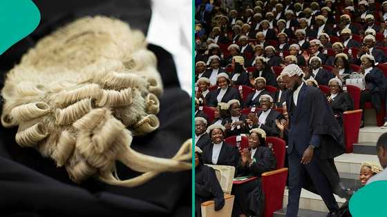 The paradox of professional decorum in law, by Ezinwanne Onwuka