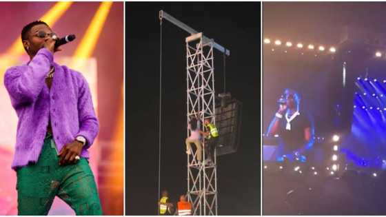 "My man don't kill ursef come down we love you," Wizkid tells man who climbed mast to watch him, clip trends