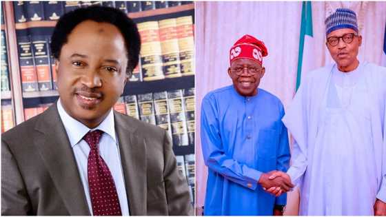 “When you listen to Tinubu’s speech, You’ll need a fan”, Shehu Sani faults national broadcast, blasts Buhari