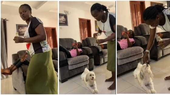 "Your mum is funny": Woman anoints everyone in the house including dog, hilarious video goes viral on TikTok