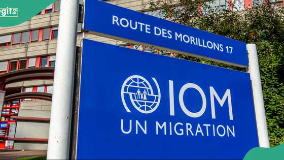 Public holiday: IOM Nigeria announces closure of migration health centres for Eid
