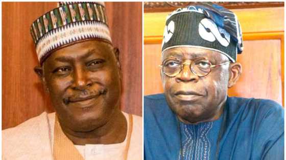 2023: Babachir Lawal reveals what Tinubu said about southeast before APC primaries
