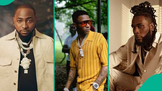 Davido breaks silence after Wizkid threw dig at Burna Boy over brutal club brawl drama