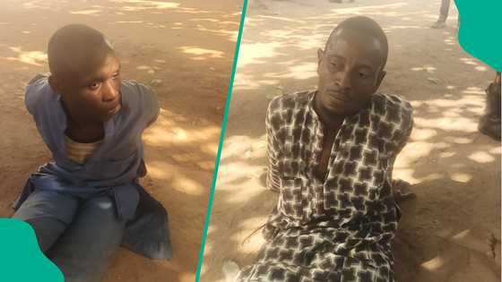 Fresh tension as two suspected terrorists linked to Woro massacre arrested in popular Kwara market