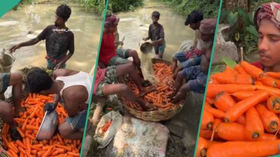 "This is not hygienic": Viral video shows group of men using their feet to wash basket of carrots