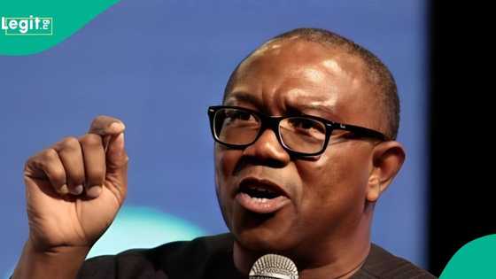 Peter Obi finally speaks on how to remove subsidy without causing harm to Nigerians
