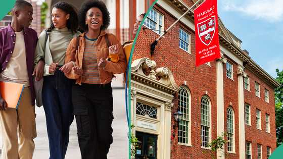 Harvard warns international students to enter US before September 15