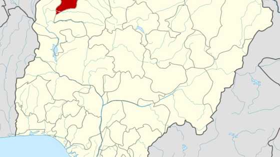 Hankula sun tashi, gagararren shugaban 'yan bindiga, Sububu ya koma Sokoto