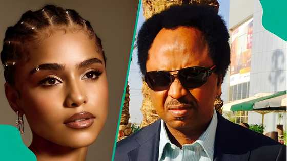 Shehu Sani sends message to "angry Nigerians" over Tyla's Lagos concert