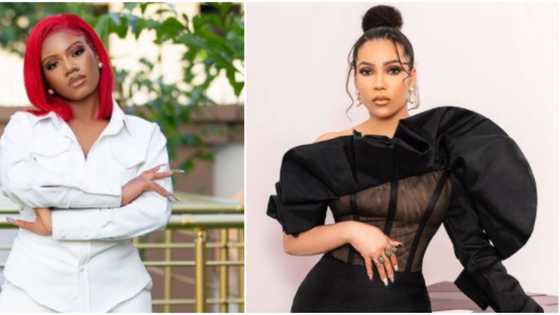 I am not your mate: BBNaija’s Angel gives savage reply to Maria’s fan for trolling her