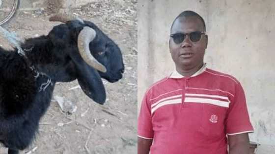 Wani bakatsine ya sauya sunansa daga Buhari zuwa Sulaiman, ya fadi dalili