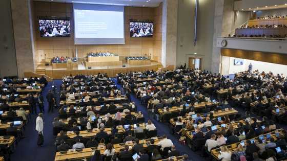 Plastic pollution treaty talks stuck in 'dialogue of the deaf'