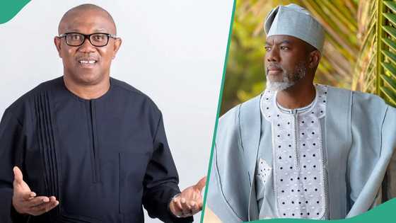 Ibom Air vs passenger: “Don’t let Peter Obi set Nigeria on fire,” Reno Omokri warns Nigerians