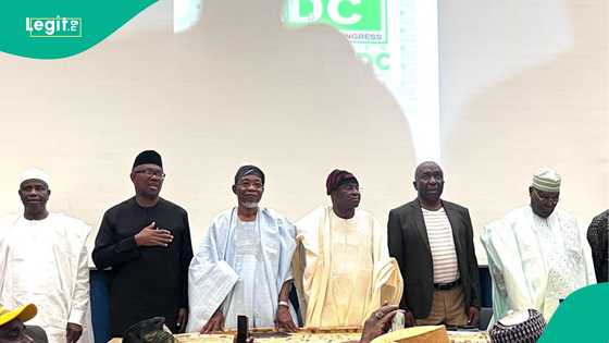 When power mongers regroup: Inside the ADC circus, by Temitope Ajayi