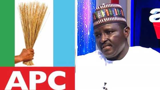 APC Yobe: Bayan Lallasa Lawan a Kotu, Machina ya Magantu a Karo na Farko