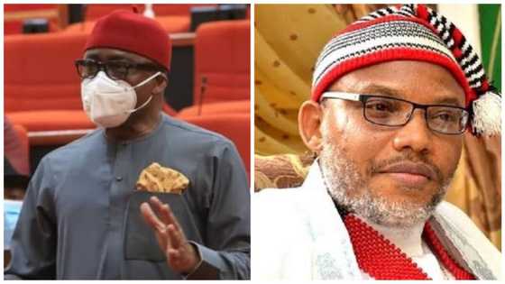 What is holy in making people suffer? Abaribe reveals what Nnamdi Kanu told him about sit-at-home order