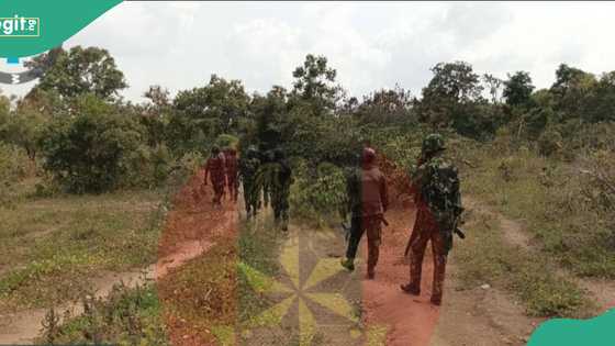 Nigerian army crushes bandits’ camps in Taraba, arrests key suspect after fierce operations