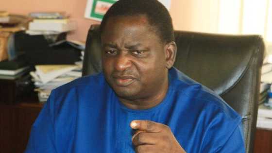 Buhari ba zai taɓa abota da masu satar dukiyar talakawa ba, Femi Adesina