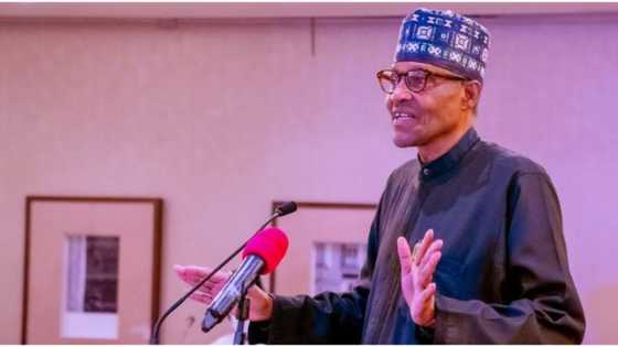 Crucial 2023 message from Portugal: Buhari reveals what he'll do during general elections