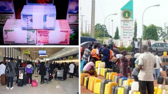 Japa, Inflation and 6 other top trends that shook the Nigerian economy in 2022