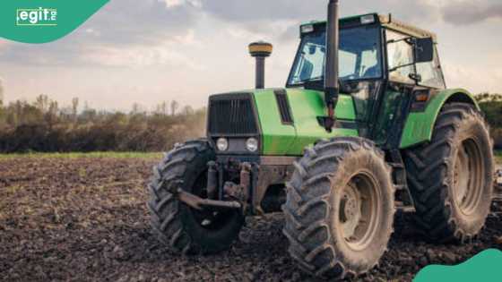 Ana shirin zanga zanga, gwamnati ta dauki matakin gaggawa domin samar da abinci