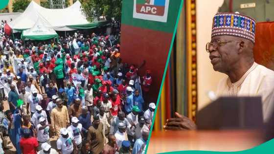 2027: Shugaba Tinubu ya jijjiga mahaifar Atiku, dubban mutane sun mamaye birnin Yola