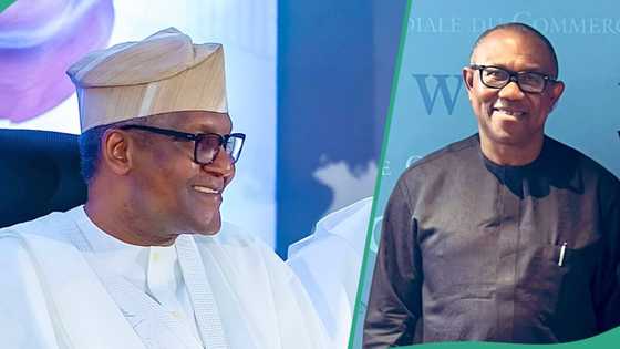 "Real growth has dropped": Peter Obi reacts as Dangote cries out over high interest rate in Nigeria